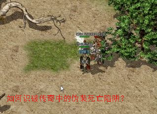 ���ʶ�ƴ����е�αװ�������壿