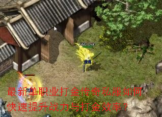 ���µ�ְҵ�����˽����ο�������ս������Ч�ʣ�