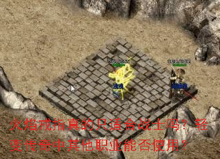 �����ָ���ֻ�ʺ�սʿ����䴫��������ְҵ�ܷ�ʹ�ã�