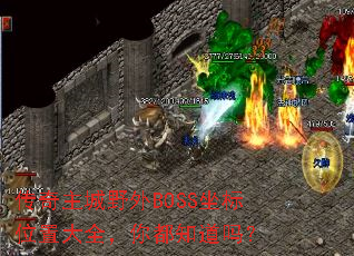 ��������Ұ��BOSS����λ�ô�ȫ���㶼֪����