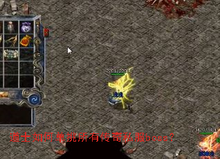 ��ʿ��ε������д���˽��boss��