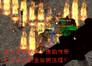��ʿ���Ƿ�ʦ��ԭʼ�������ֿ���ְҵ���ѡ��