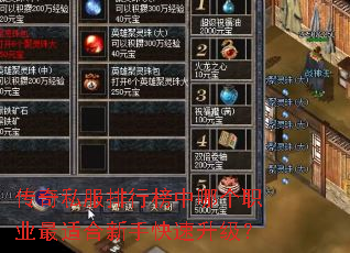 传奇私服排行榜中哪个职业最适合新手快速升级? 传奇私服排行榜中哪个职业最适合新手快速升级?