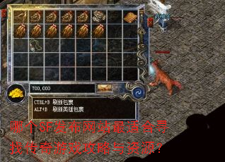 哪个SF发布网站最适合寻找传奇游戏攻略与资源? 哪个SF发布网站最适合寻找传奇游戏攻略与资源?