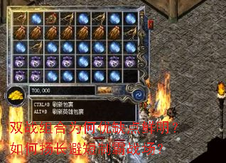 双战组合为何优缺点鲜明?如何扬长避短制霸战场? 双战组合为何优缺点鲜明?如何扬长避短制霸战场?