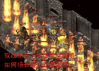 双战组合为何优缺点鲜明?如何扬长避短制霸战场? 双战组合为何优缺点鲜明?如何扬长避短制霸战场?