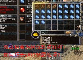 双战组合为何优缺点鲜明?如何扬长避短制霸战场? 双战组合为何优缺点鲜明?如何扬长避短制霸战场?