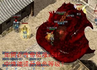 如何在传奇私服s6sf中快速提升角色等级? 如何在传奇私服s6sf中快速提升角色等级?