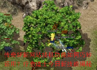 ����SF����վ�һ���������������ã�������ʿ�����¼��ܽ���