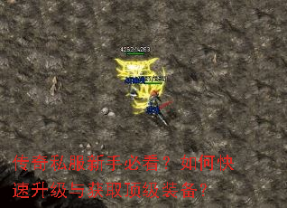 传奇私服新手必看?如何快速升级与获取顶级装备? 传奇私服新手必看?如何快速升级与获取顶级装备?