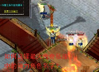 ���ѡ�������˽���е�ǿ����ɫ���֣�