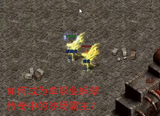 ��γ�Ϊ��ְҵ���������е�ɳ��������
