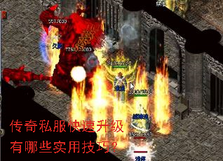 ����˽��������������Щʵ�ü��ɣ�
