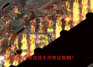 ���ͻ�ƴ�����Ϸ�еĵȼ����ƣ�