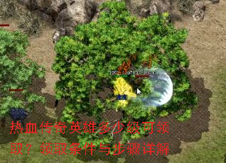 ��Ѫ����Ӣ�۶��ټ�����ȡ����ȡ�����벽�����