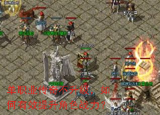 ��ְҵ���治�����������Ч������ɫս����
