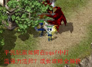 ƽ����������cqsf�д���ǿ����ʦ���ɳ�����ȫ����