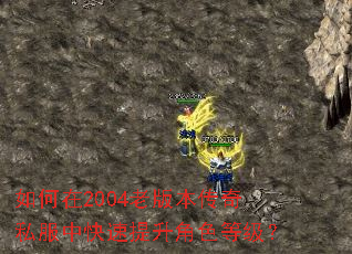 �����2004�ϰ汾����˽���п���������ɫ�ȼ���
