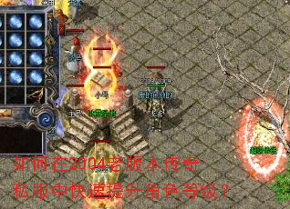 �����2004�ϰ汾����˽���п���������ɫ�ȼ���
