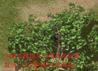 ���淨�����Ϊ�γ�Ϊ�����ѡ����Ч���乥�Խ���