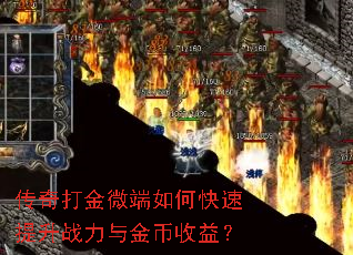 ������΢����ο�������ս���������棿