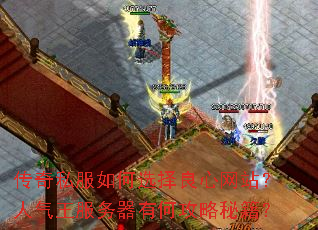 ����˽�����ѡ��������վ���������������кι����ؼ���
