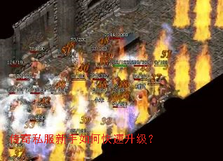����˽��������ο���������