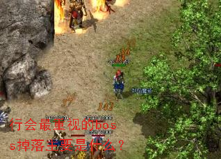 �л������ӵ�boss������Ҫ��ʲô��