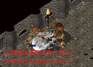 �����ս���ޱ�̬��ð�գ�������Ϸȫ�����ռ��ʴ�