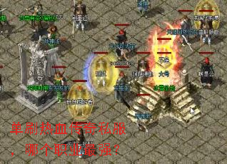 ��ˢ��Ѫ����˽�����ĸ�ְҵ��ǿ��