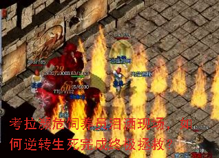 考拉濒危饲养员泪洒现场,如何逆转生死完成终极拯救? 考拉濒危饲养员泪洒现场,如何逆转生死完成终极拯救?