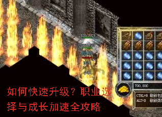 如何快速升级?职业选择与成长加速全攻略 如何快速升级?职业选择与成长加速全攻略