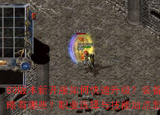 80版本新开服如何快速升级?装备获取攻略有哪些?职业选择与技能加点怎么搭配? 80版本新开服如何快速升级?装备获取攻略有哪些?职业选择与技能加点怎么搭配?