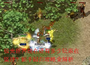 极光世界现在还有多少玩家在坚持?新手回归攻略全解析 极光世界现在还有多少玩家在坚持?新手回归攻略全解析