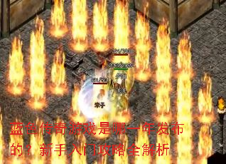 蓝色传奇游戏是哪一年发布的?新手入门攻略全解析 蓝色传奇游戏是哪一年发布的?新手入门攻略全解析