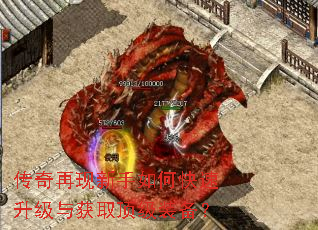 传奇再现新手如何快速升级与获取顶级装备? 传奇再现新手如何快速升级与获取顶级装备?