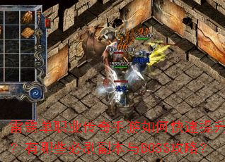������ְҵ����������ο�������ս��������Щ��ˢ������BOSS���ԣ�