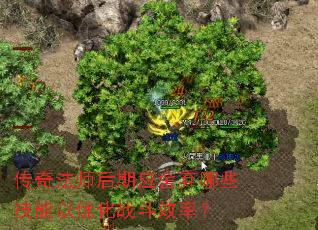 传奇法师后期应舍弃哪些技能以优化战斗效率? 传奇法师后期应舍弃哪些技能以优化战斗效率?
