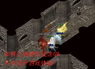 如何正确使用征途GM命令提升游戏体验? 如何正确使用征途GM命令提升游戏体验?