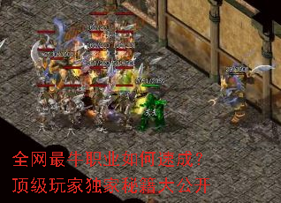 全网最牛职业如何速成?顶级玩家独家秘籍大公开 全网最牛职业如何速成?顶级玩家独家秘籍大公开