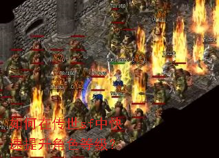 如何在传世sf中快速提升角色等级? 如何在传世sf中快速提升角色等级?