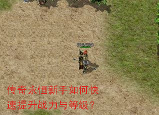 传奇永恒新手如何快速提升战力与等级? 传奇永恒新手如何快速提升战力与等级?