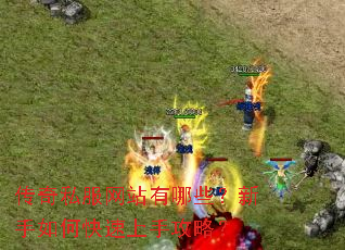 传奇私服网站有哪些?新手如何快速上手攻略? 传奇私服网站有哪些?新手如何快速上手攻略?
